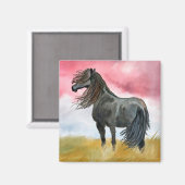Cheval noir dans Field Magnet (Recto/Verso)