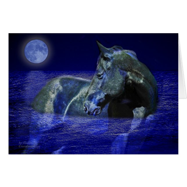 Cheval noir de lune (Devant horizontal)