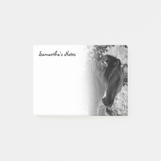 Cheval noir et blanc Post-it Notes (Devant)