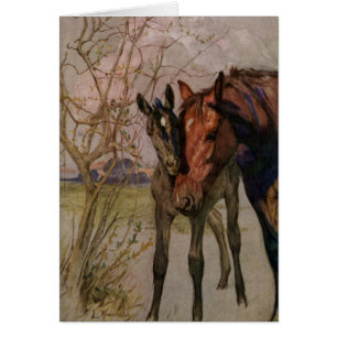 Cheval noir vintage de beauté "ma mère et I "
