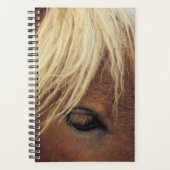 Cheval Photo Equine Cheval Blanc Mane (Devant)