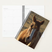 Cheval Photo Equine Horse Arrière - plan de l'Oues (Devant avec enveloppe)