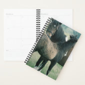 Cheval Photo Equine Mare Foin (Devant avec enveloppe)