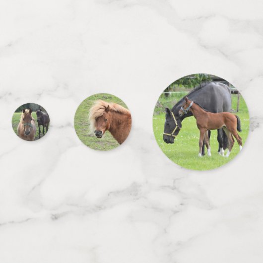 Cheval Photos table confetti (Devant)