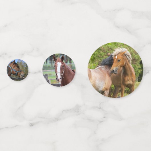 Cheval Photos table confetti (Derrière)