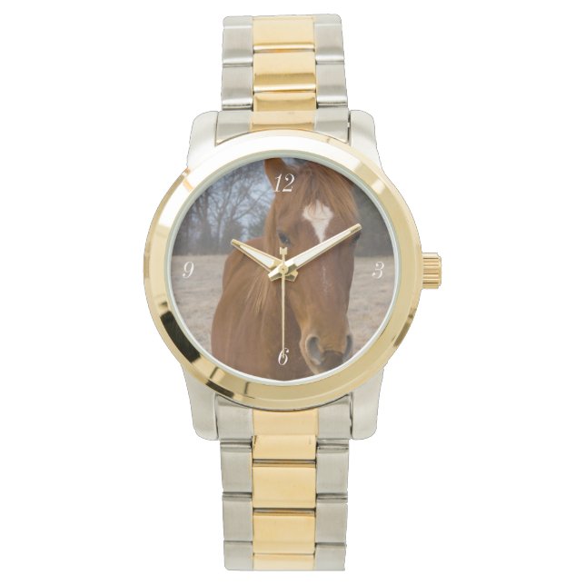 Cheval pose montre bracelet (devant)