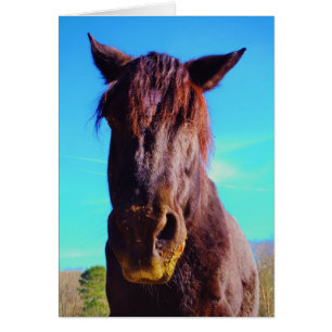 Cheval pourpre avec Bouche verte