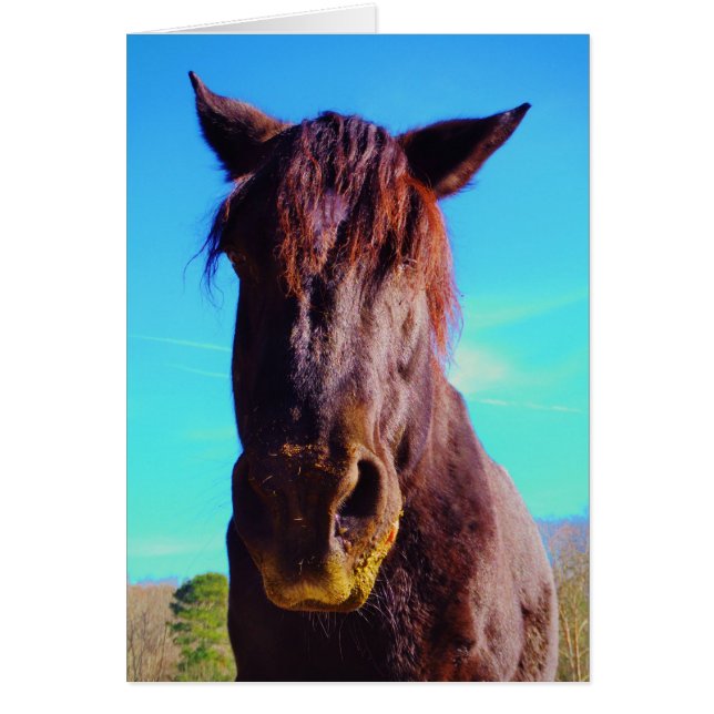 Cheval pourpre avec Bouche verte (Devant)