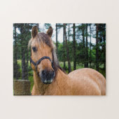 Cheval puzzle (Horizontal)