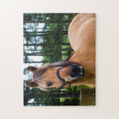 Cheval puzzle (Vertical)