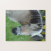 Cheval puzzle (Horizontal)