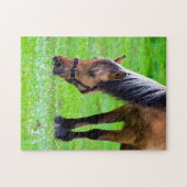 Cheval puzzle (Horizontal)