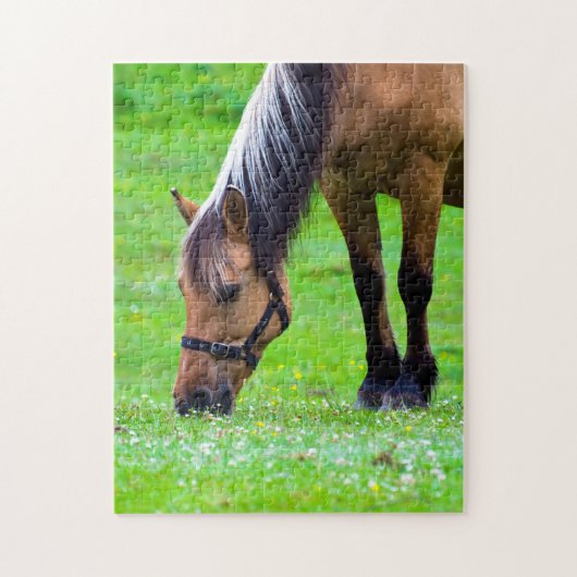 Cheval puzzle (Vertical)