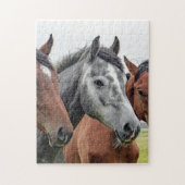 Cheval Puzzle (Vertical)