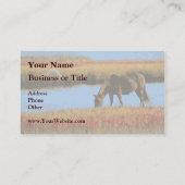 Cheval rustique de pays frôlant des cartes de (Dos)