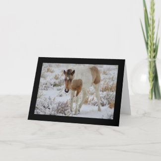 CHEVAL SAUVAGE DE CARTE DE VOEUX D'ONAQUI DE
