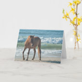 Cheval sauvage d'île de carte de note d'Assateague (Fleur jaune)