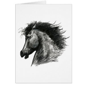 Cheval Sauvage Fougueux