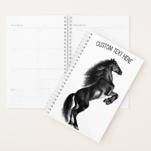 Cheval sauvage noir dressé - Dessin noir et blanc