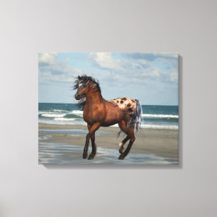 Cheval Sauvage Sur La Plage Toile Imprimer