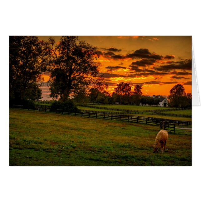 Cheval solitaire au coucher du soleil (Devant horizontal)