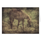 Cheval Souvenirs Grunge (Devant horizontal)