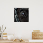 Cheval Stallion Oeil Photo Nature Mur Poster (Cuisine)