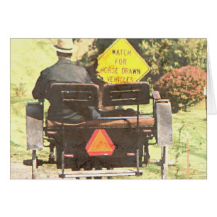 Cheval tiré Vechicles, Amish Horse et Buggy