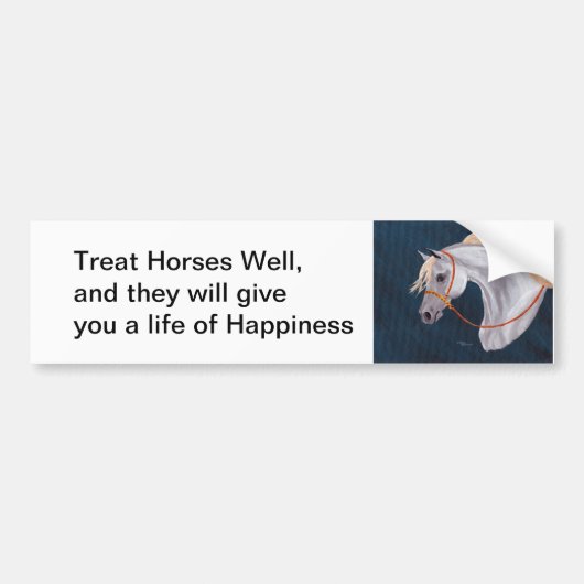 Cheval vie de bonheur Bumper Sticker (Devant)