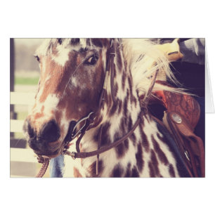 Cheval vintage d'exposition d'Appaloosa