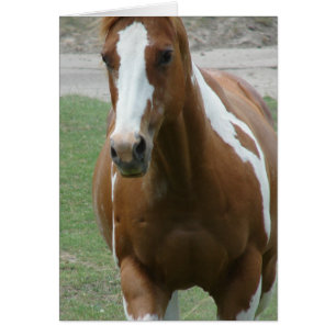 Cheval voyant de peinture