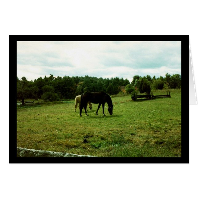 Chevaux (Devant horizontal)