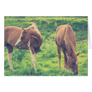 Chevaux
