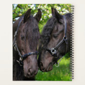 Chevaux (Dos)