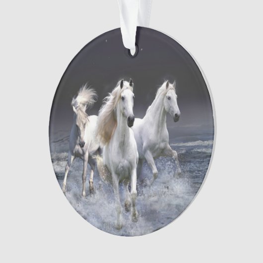 Chevaux à lancer l'oreiller (devant)