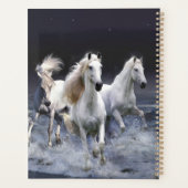 Chevaux à lancer l'oreiller (Dos)