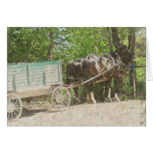 Chevaux Amish et Wagon