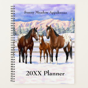 Chevaux Appaloosa De Baie Brown En Neige