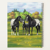 Chevaux Appaloosa Noir Dans Les Pâturages D'Été (Dos)