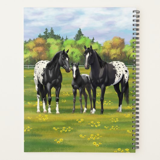 Chevaux Appaloosa Noir Dans Les Pâturages D'Été (Dos)