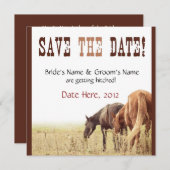 Chevaux au pâturage - Faire-part de mariage (Devant / Derrière)