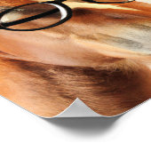 Chevaux avec lunettes Affiches (Coin)