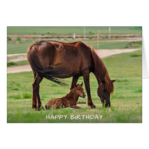 Chevaux Bonne Carte d'Anniversaire