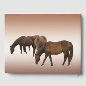 Chevaux Brown Animaux Fête d'anniversaire Livre d' (Verso)