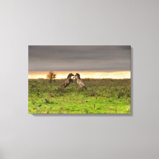 Chevaux cabrés sur toile (Recto)
