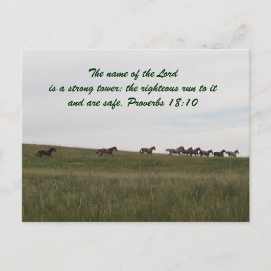 Chevaux courant avec scripture Carte postale (Devant)