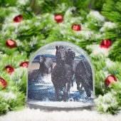 Chevaux Courant Dans L'Eau (Noël)