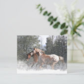 Chevaux dans la carte postale Noël de neige (Debout devant)