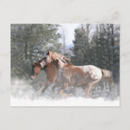 Chevaux dans la carte postale Noël de neige (Devant)