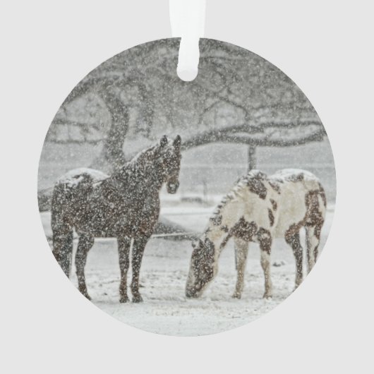 Chevaux dans la neige (dos)